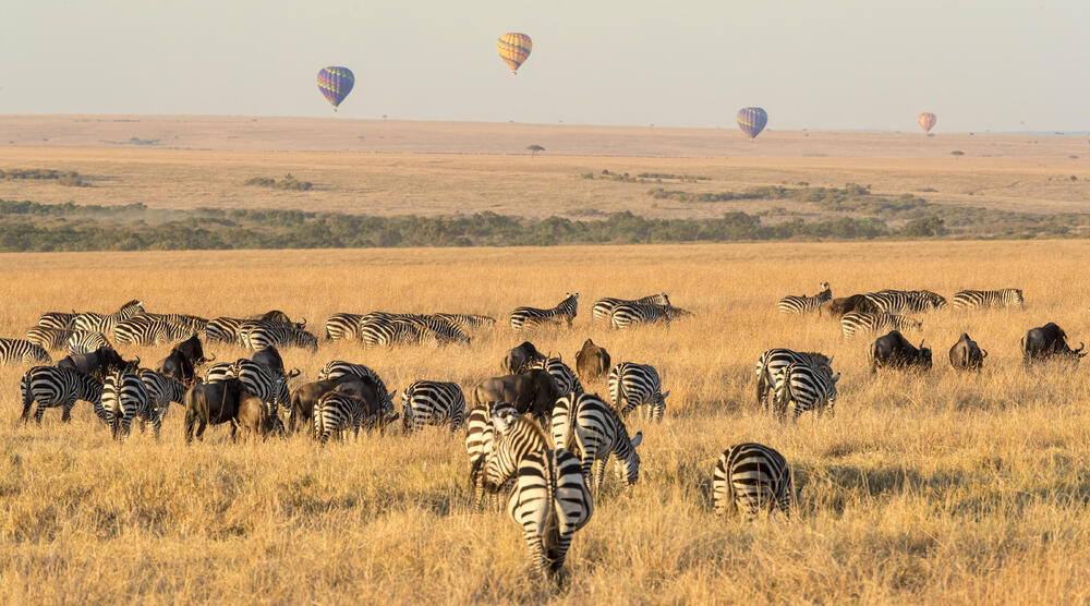 Serengeti med Andreas Fjellandsbø