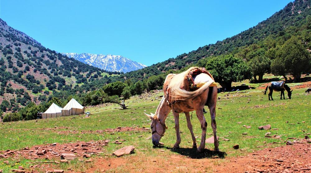 Jebel Toubkal og Essaouira med A-kortet