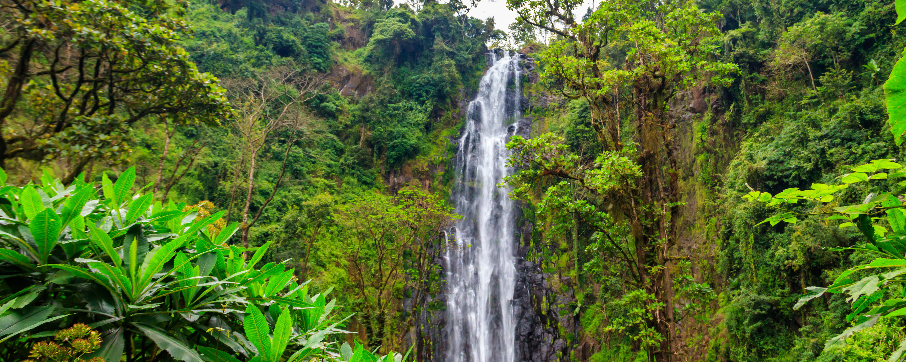 Materuni waterfall - grønt og frodig område