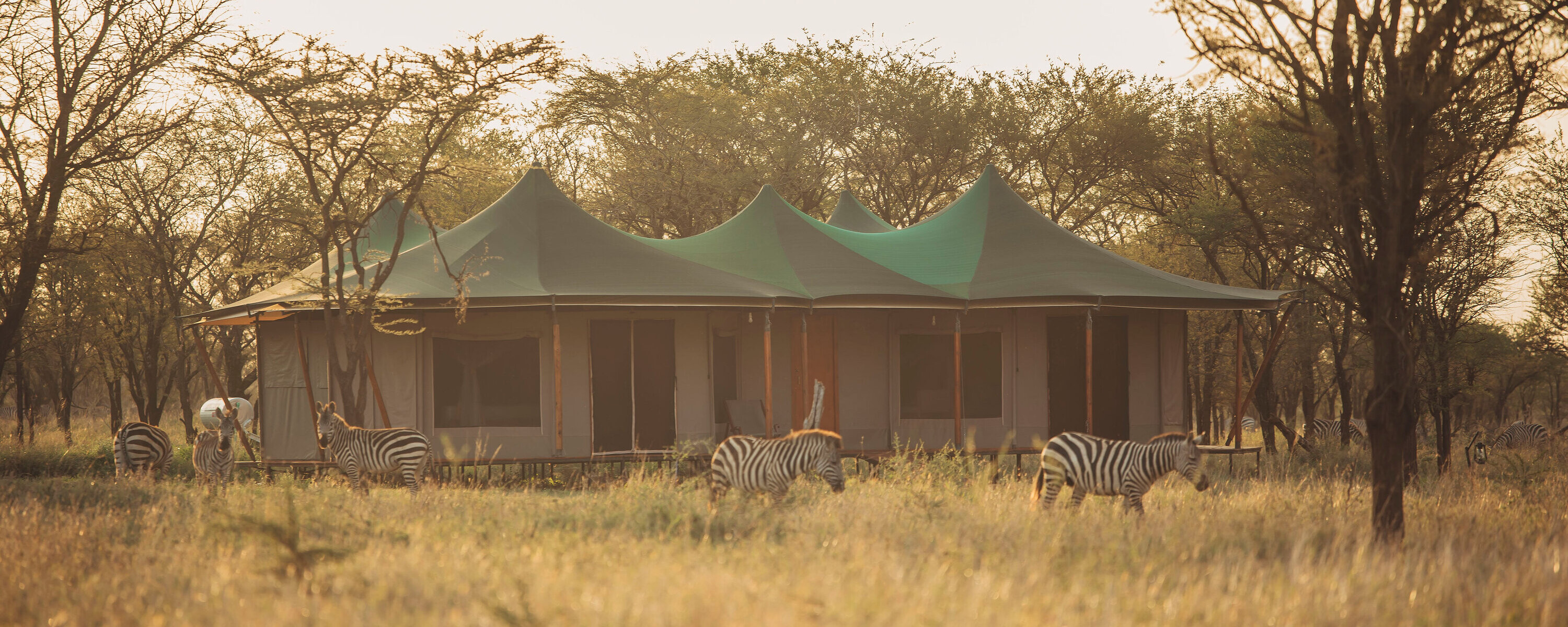 Narudi Tented Camp - sentralt med umiddelbar n&aelig;rhet til dyreliv og villmark