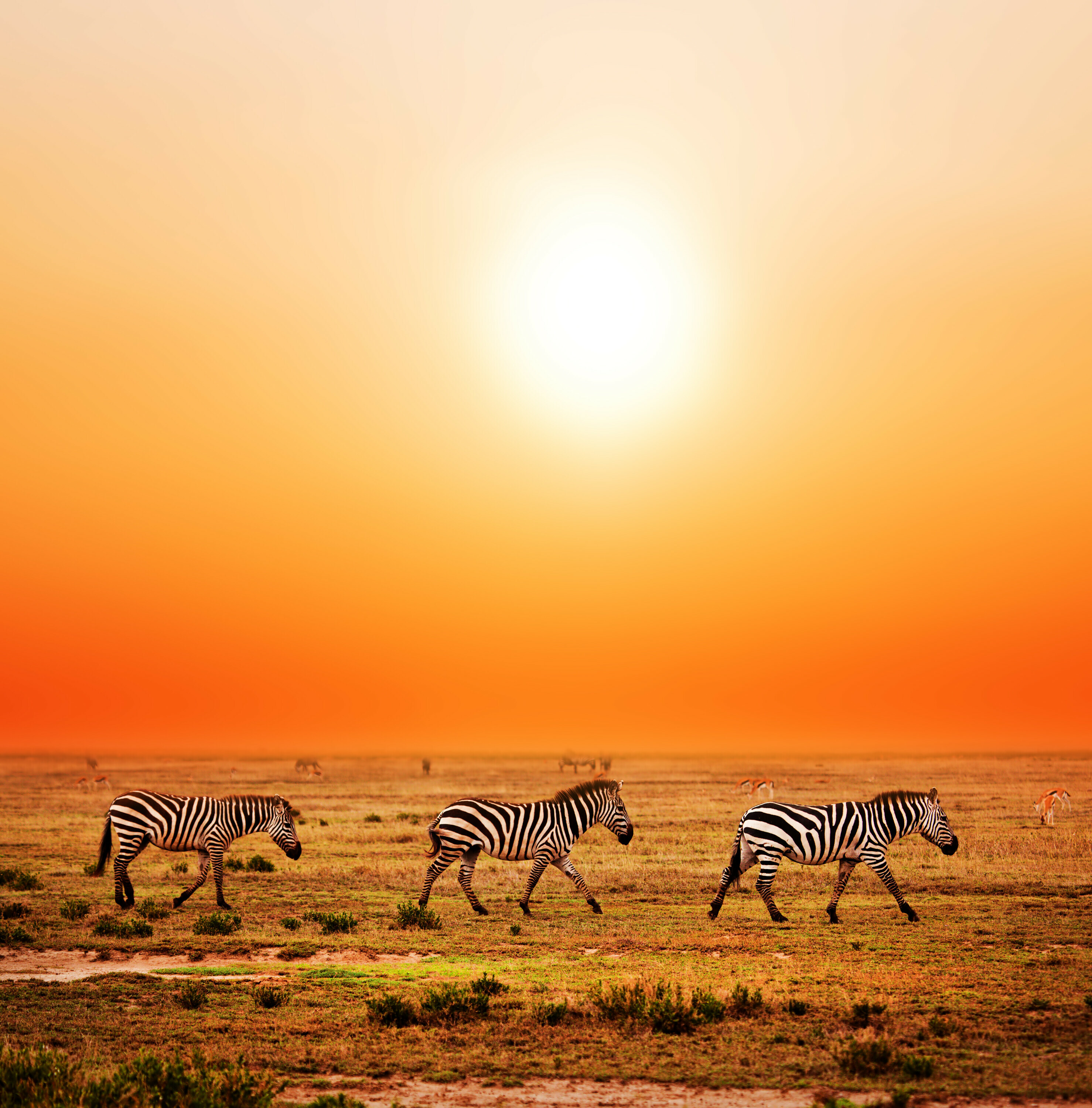 Afrika