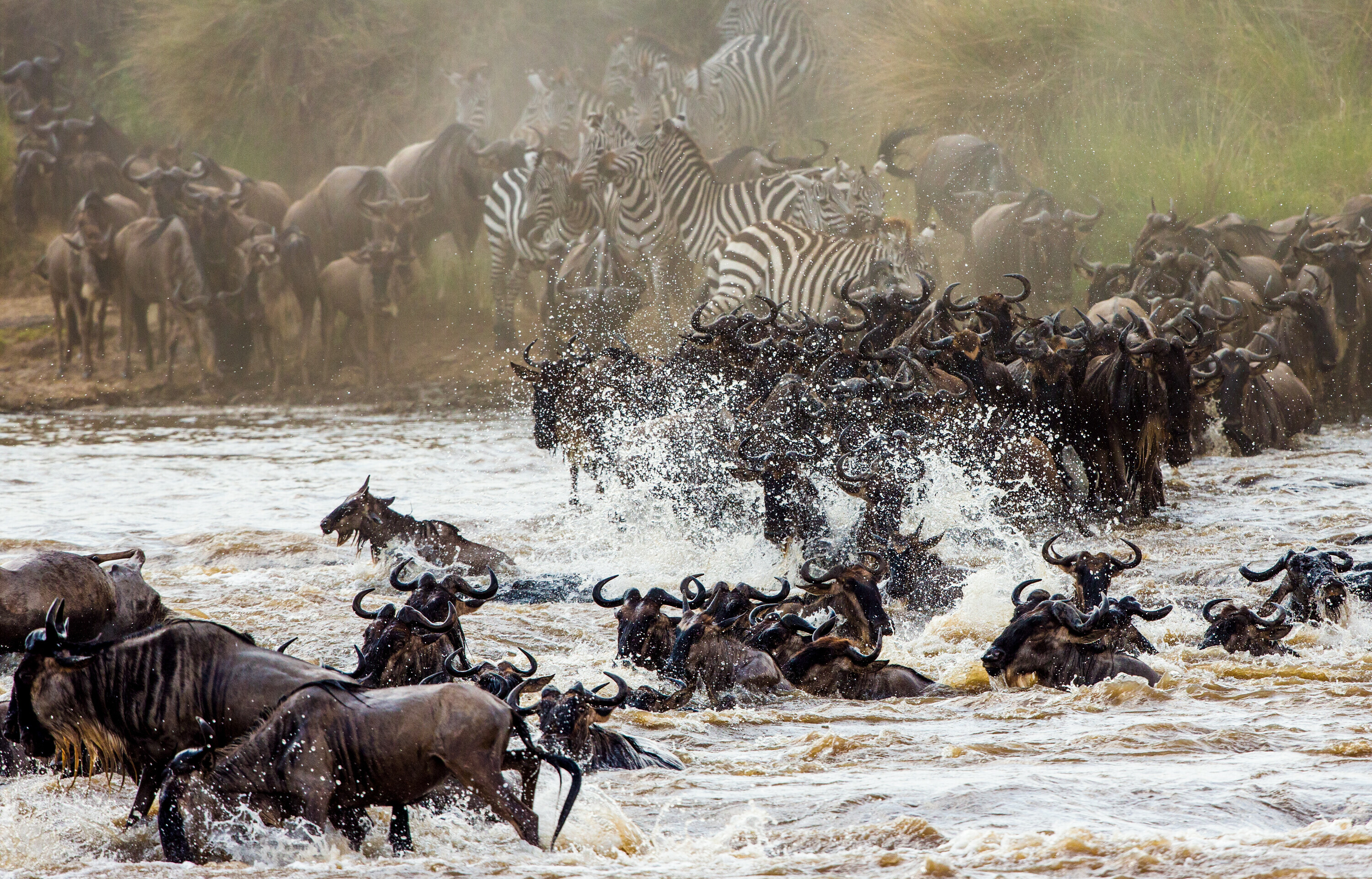 Masai Mara og Det indiske Hav