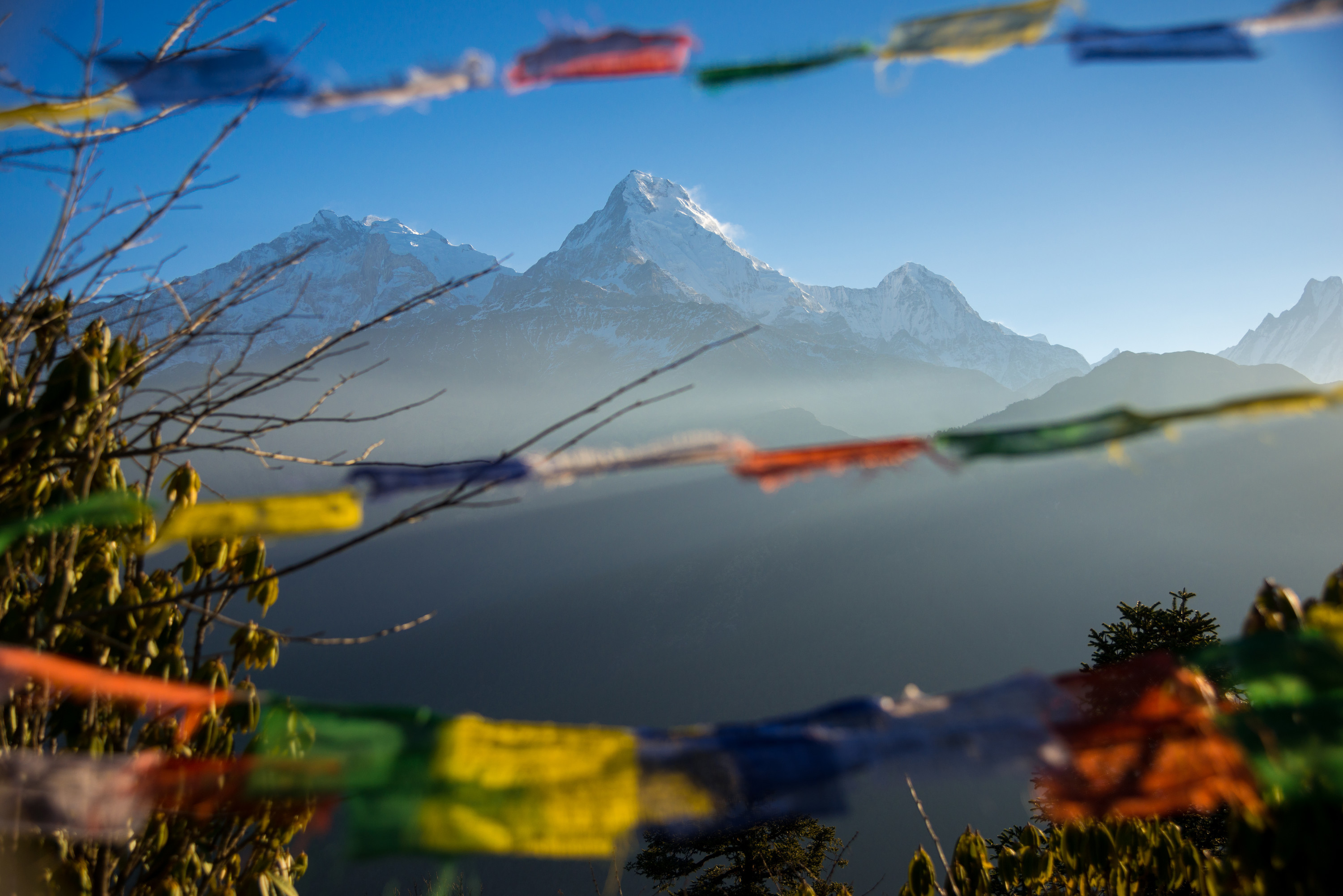 Fjelltur og jungelsafari i Nepal